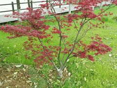 -艾溪湖湿地公园