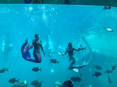 -瑞德姆美人鱼海底演艺主题餐厅(亚龙湾店)