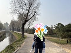 -东郊湿地公园