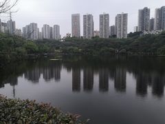 -重庆彩云湖湿地公园