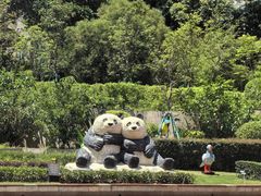 -石排湾郊野公园