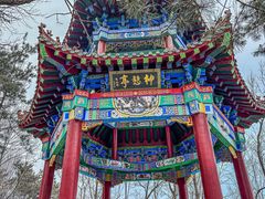 -沂蒙山旅游区云蒙景区(蒙山国家森林公园)