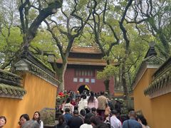 -普陀山风景名胜区-法雨禅寺