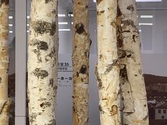 -极简口腔(总院)