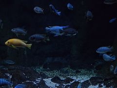 -江和美海洋公园