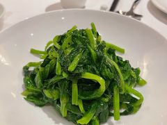 高山豆苗-南麓·浙里(外滩店)