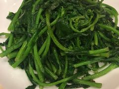 -曾牛肉