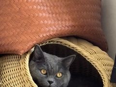 -成寿寺(地铁站)