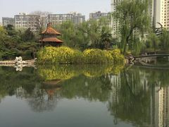 -西苑公园