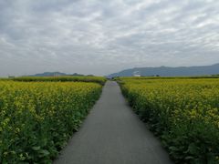 -光明小镇欢乐田园
