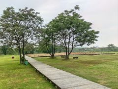-盘龙城遗址博物院