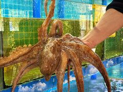 -坛南湾阿强农家乐.海鲜大排档老字号(福州地标美食店)
