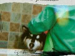 -佳雯宠物医院(四明中路分院)