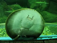 -苏州海洋馆