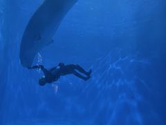 -多彩贵州城极地海洋世界