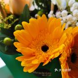 学习打卡DAY58、59