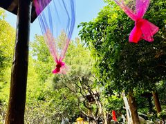 -观唐（国际）度假村温泉