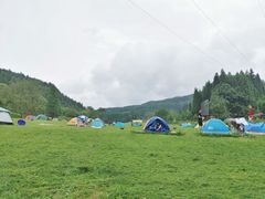 -武陵山森林公园