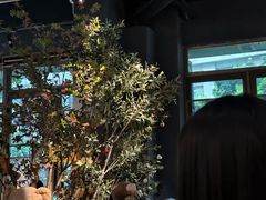 -咖法森林·咖啡  酒吧(天河店)