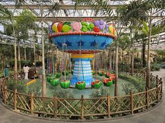 -南宫五洲植物乐园