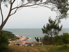 -广东惠东海龟国家级自然保护区