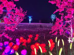 -国际非物质文化遗产博览园