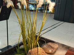 -老头儿油爆虾(星光一期店)