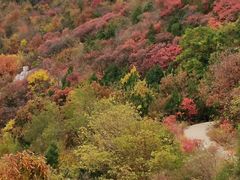 -北京西山国家森林公园