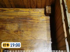 -慢丽江·云南野生菌土鸡锅(付家庄店)