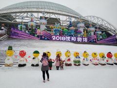 -沈阳奥体冰雪嘉年华