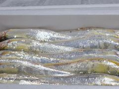 -芦潮港集贸市场