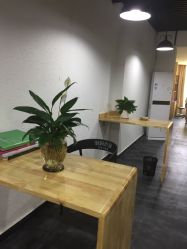 -明洞造型精品烫染