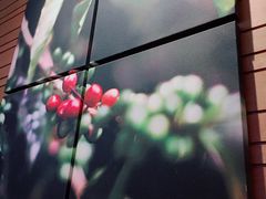 -星巴克(天津鲁能中心第三店)
