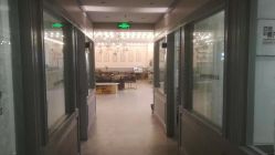 -亲吻宝贝儿童摄影