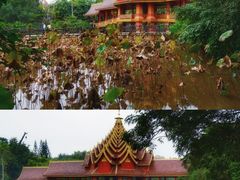 -曼听御花园