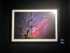 -罗红摄影艺术馆