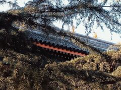 -北京石刻艺术博物馆(五塔寺)