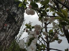 -南溪山景区