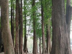 -广州市白云山风景名胜区