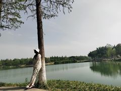 -升仙湖公园