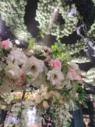 -格乐利雅婚礼艺术中心(南外滩店)