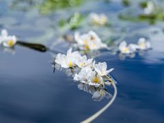 -丽江泸沽湖景区