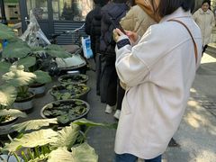 -潘玉麟糖粥