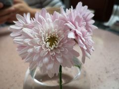 -简象咖啡CAFE ELE JANE(满陇桂雨店)