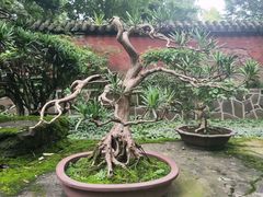 景点-成都武侯祠博物馆