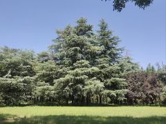 -洛阳市隋唐城遗址植物园