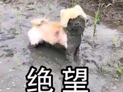 -迪卡乐KTV(象山路店)