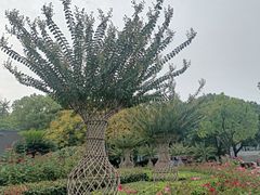 -杭州城北体育公园