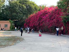-厦门国家会计学院