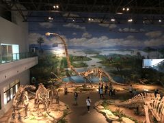 -自贡恐龙博物馆